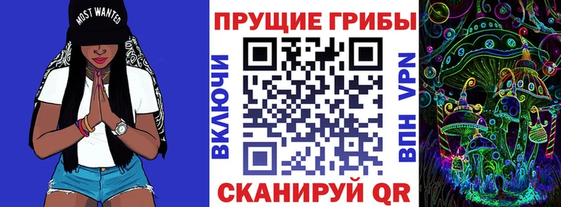 Псилоцибиновые грибы MAGIC MUSHROOMS  как найти закладки  Аткарск 